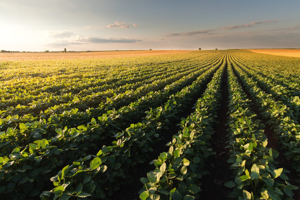 Exploring IoT in Agriculture: 5G/LTE Considerations