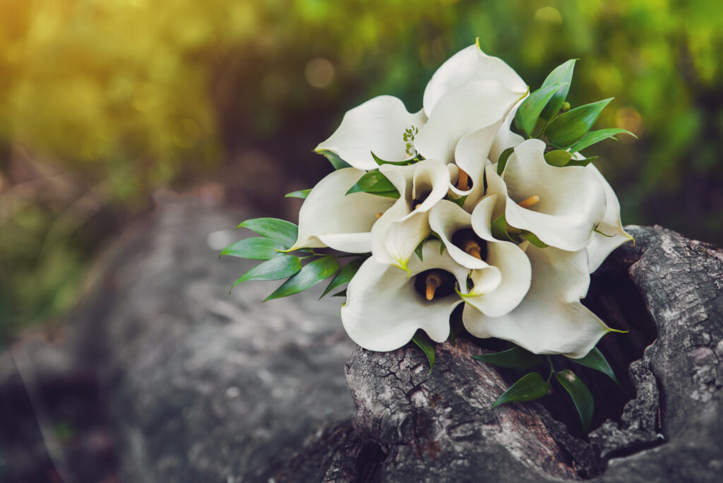 Is SD-WAN Dead?