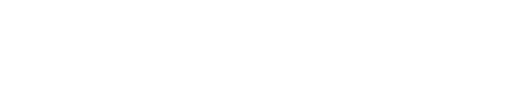 Palo Alto Networks