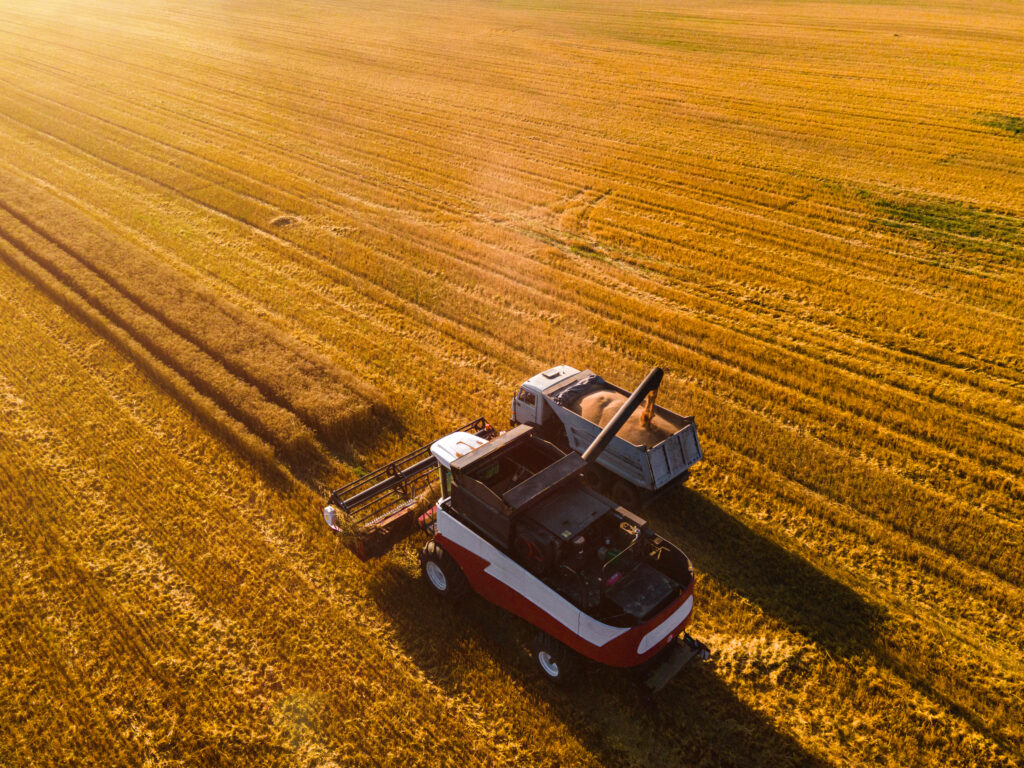 Enabling a Leading Food Manufacturer’s Digital Transformation with SD-WA
