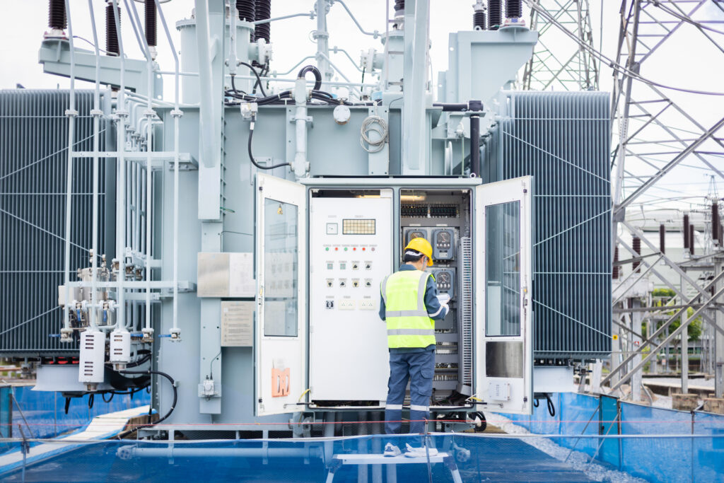 Smart Grid and Critical Infrastructure